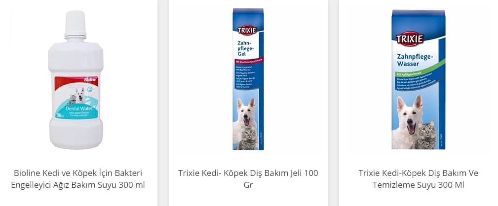 Kedi diş sağlığı ve macun kullanımı